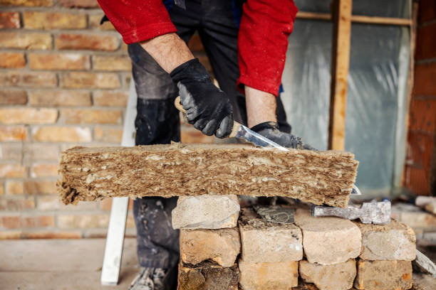 Best Insulation Contractors for Homes  in Island Heights, NJ